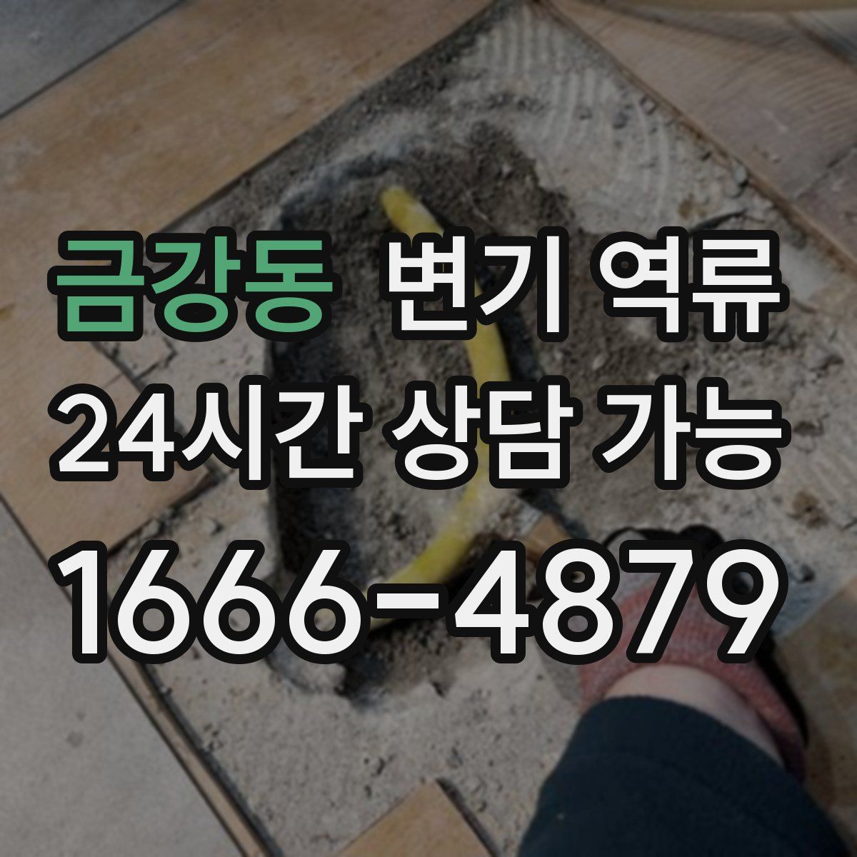 금강동 변기 역류