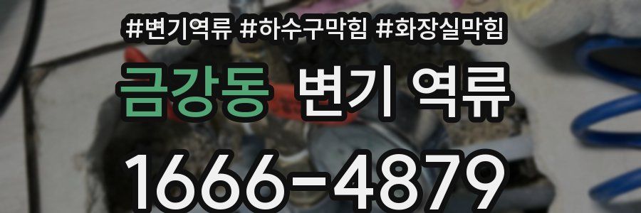 금강동 변기 역류