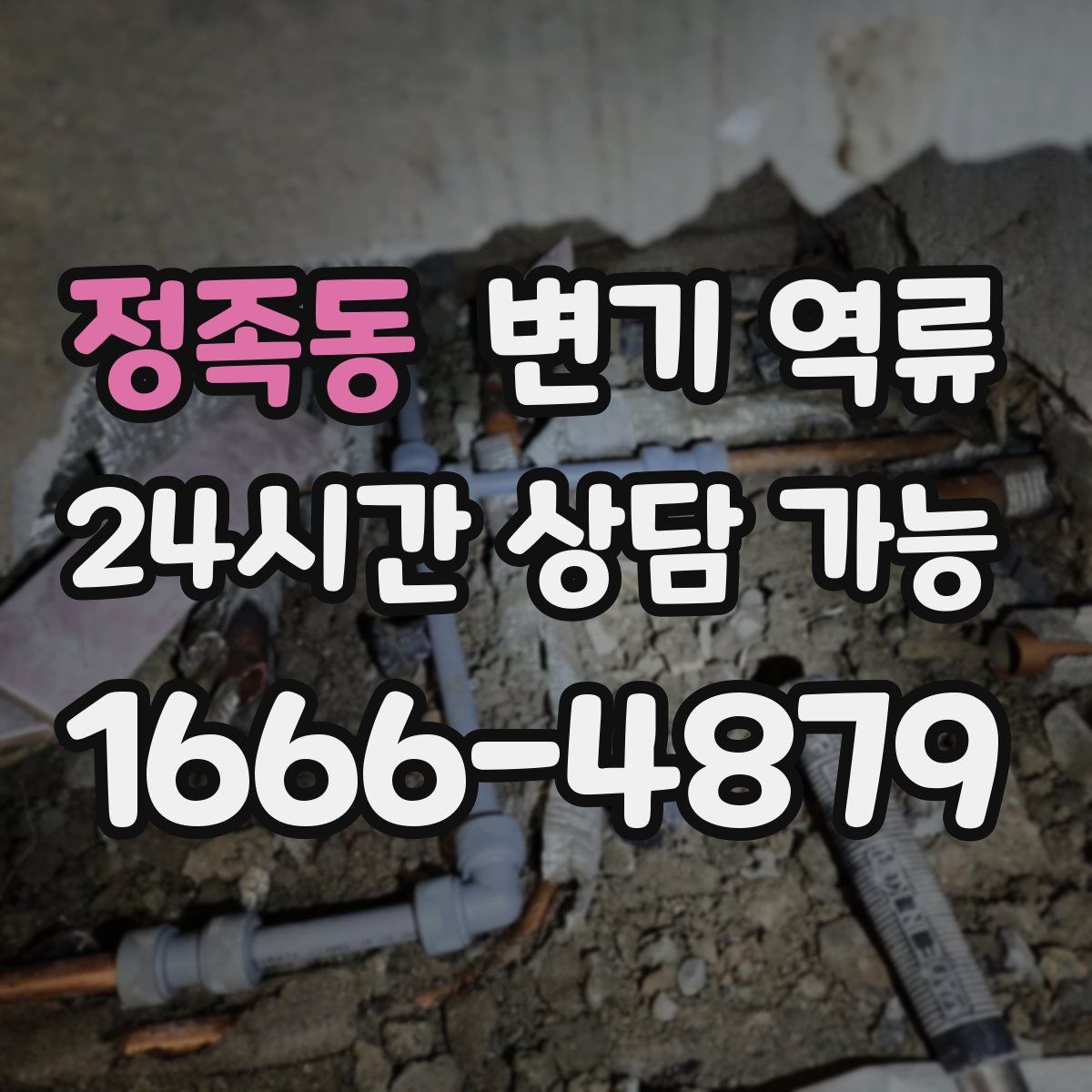 정족동 변기 역류