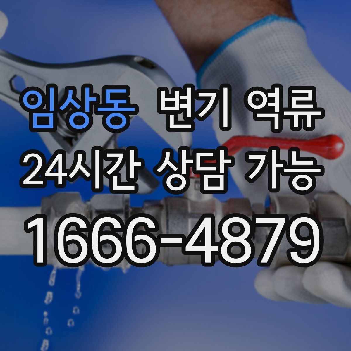 임상동 변기 역류 바닥 배수구에서 냄새가 올라오면 연결 확인