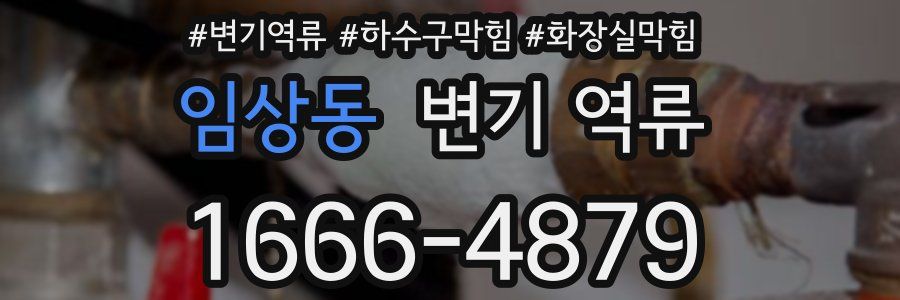 임상동 변기 역류