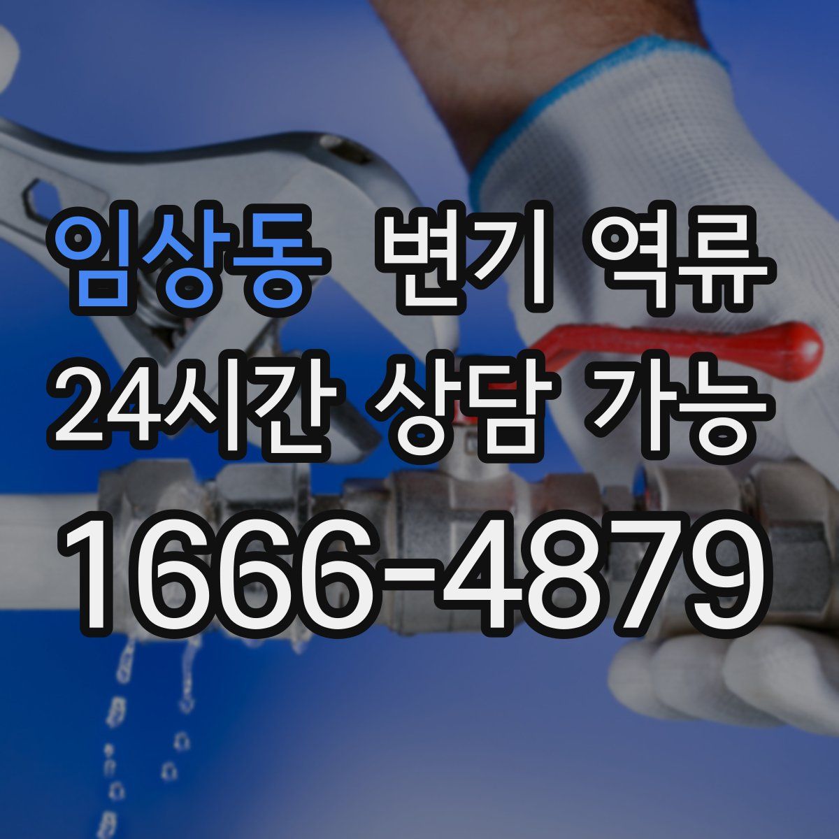 임상동 변기 역류