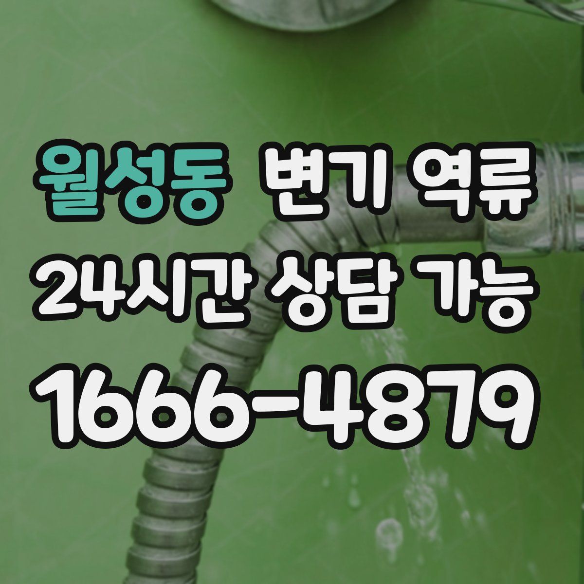 월성동 변기 역류