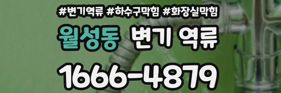 월성동 변기 역류