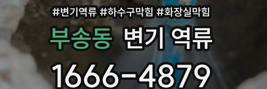 부송동 변기 역류