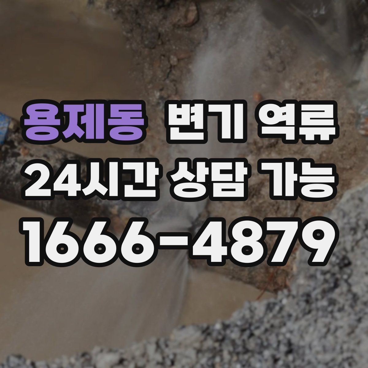 용제동 변기 역류 같은 시간대에 반복되면 공용 배관 가능성