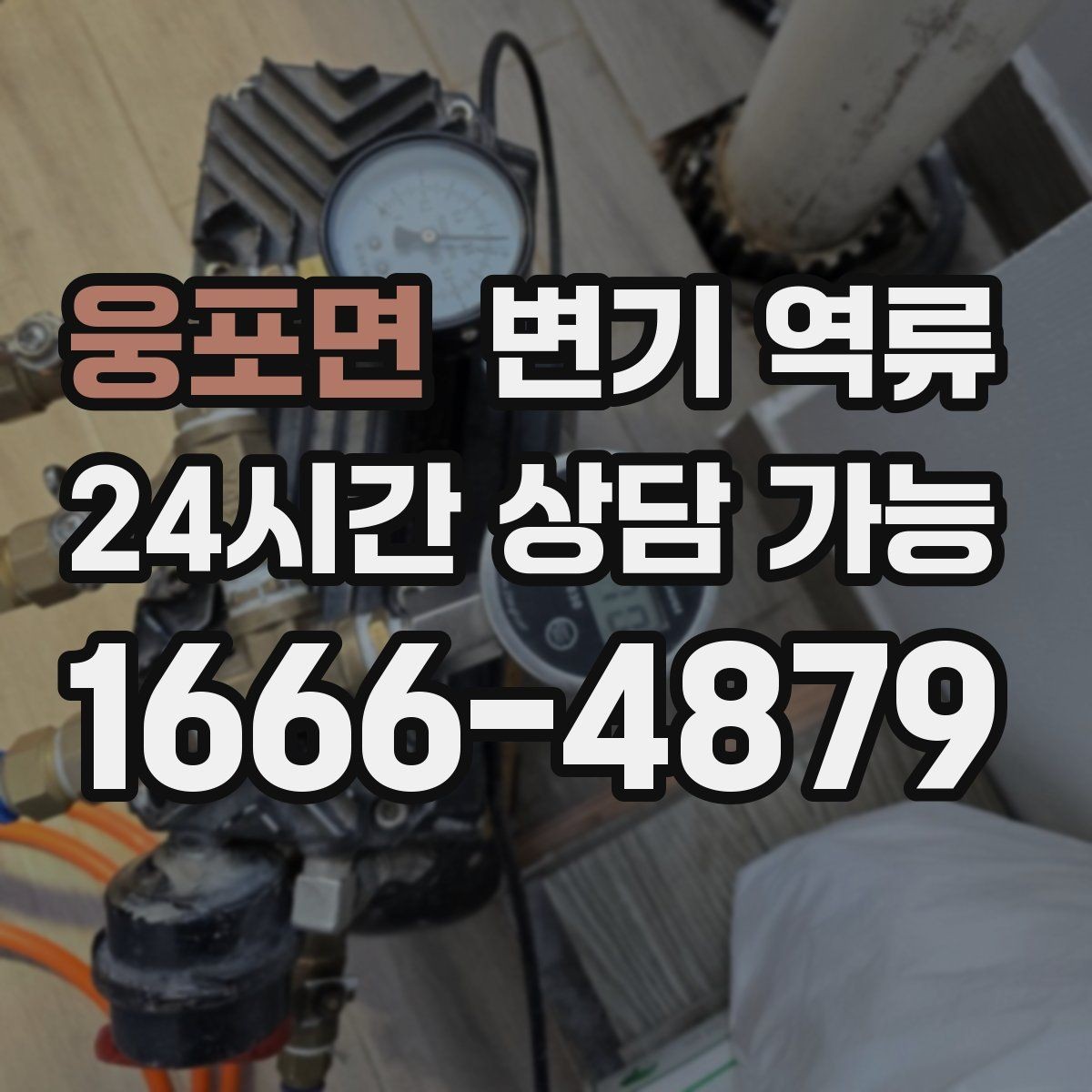 웅포면 변기 역류 생리대·기저귀가 원인일 때 위험한 이유