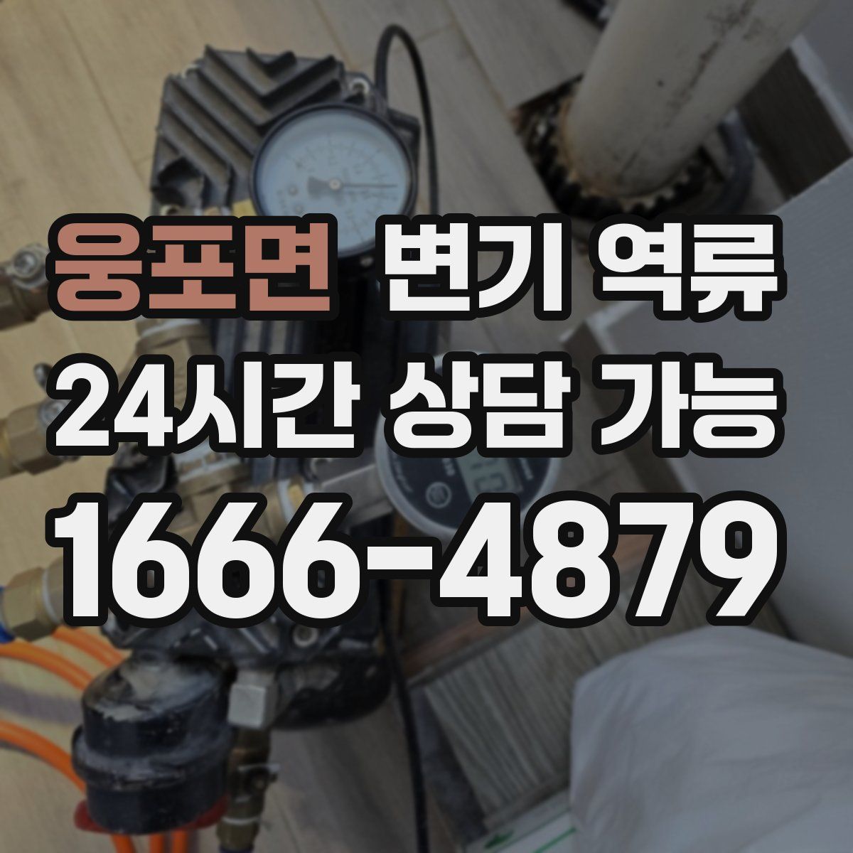 웅포면 변기 역류