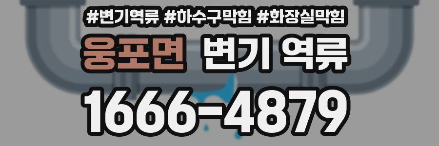 웅포면 변기 역류