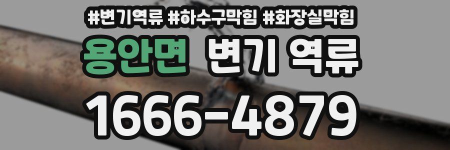 용안면 변기 역류