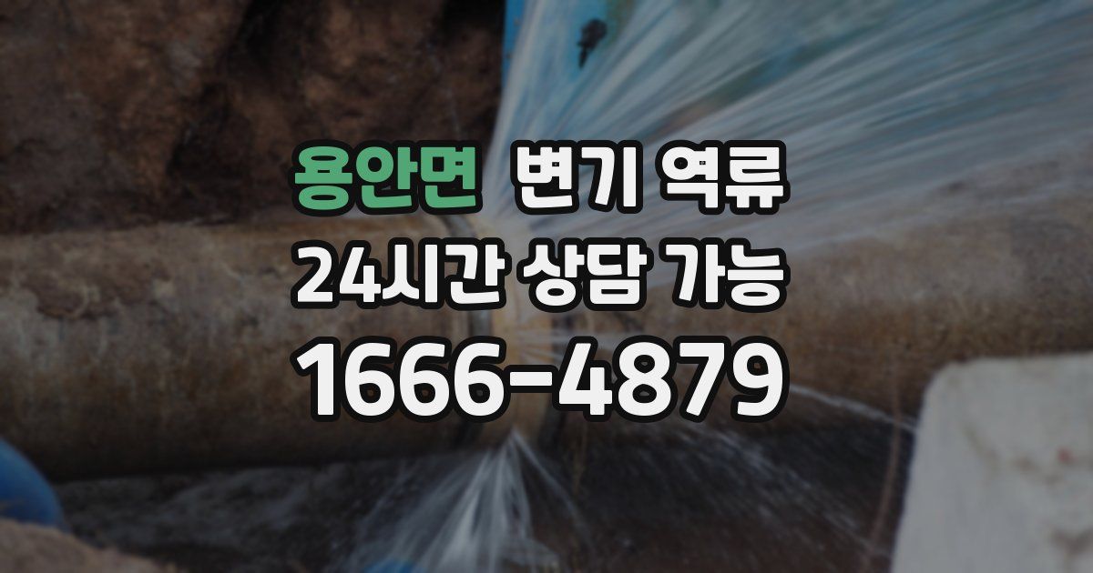 용안면 변기 역류