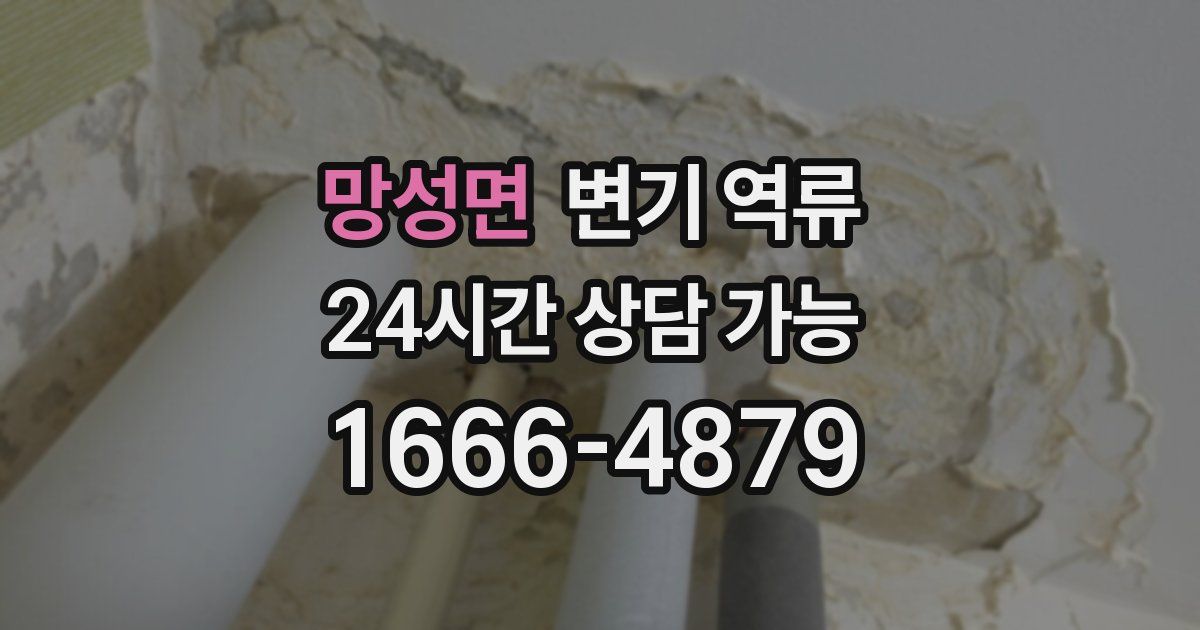 망성면 변기 역류