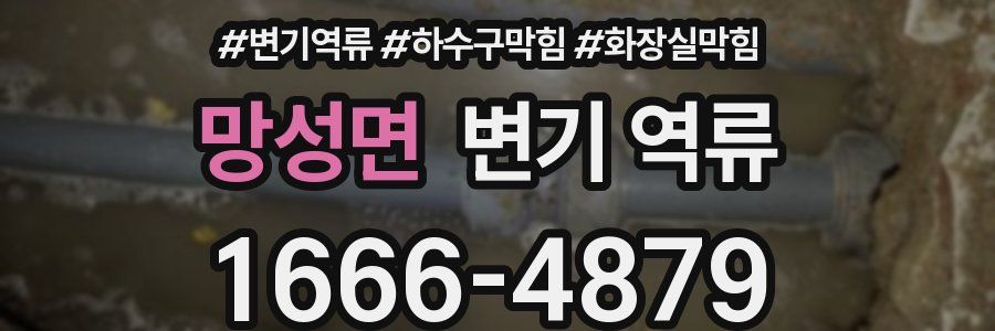 망성면 변기 역류