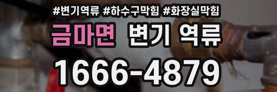 금마면 변기 역류