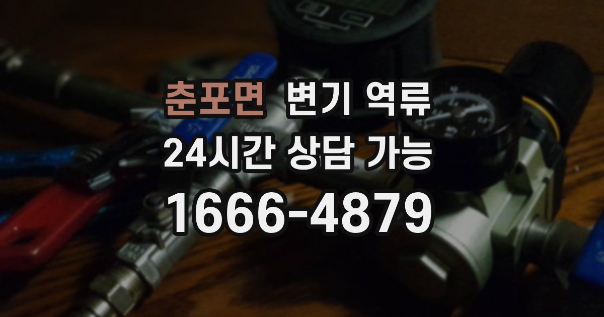 춘포면 변기 역류