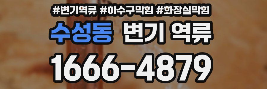 수성동 변기 역류