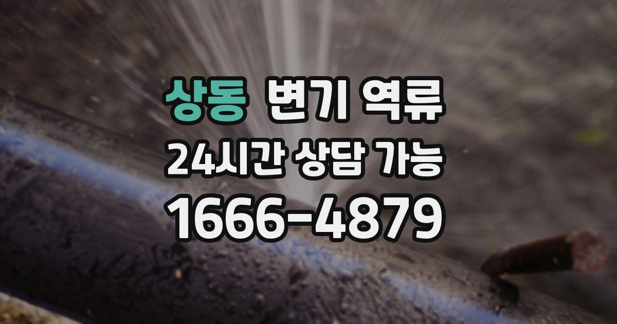 상동 변기 역류