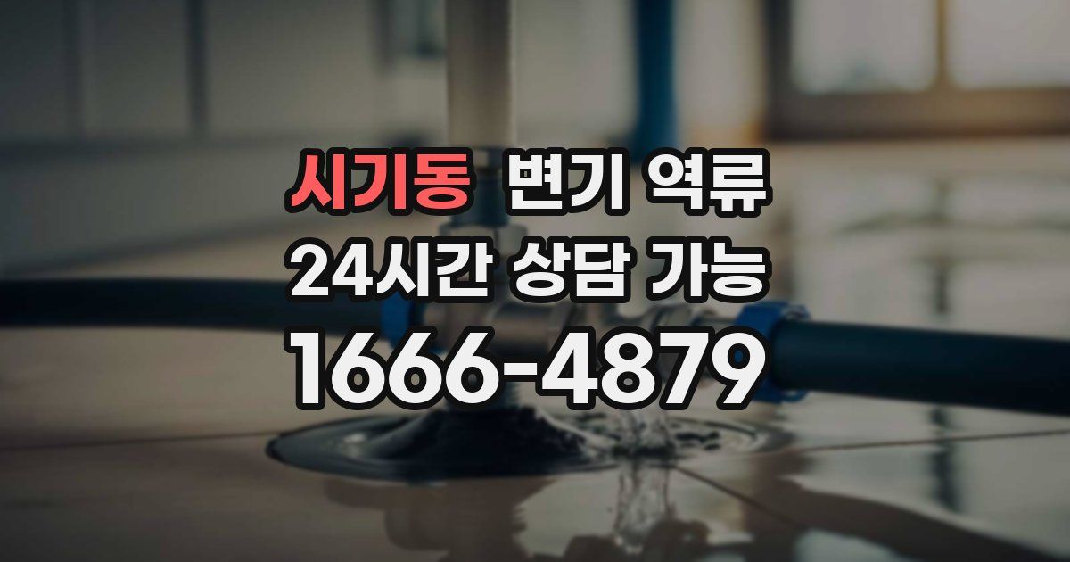 시기동 변기 역류