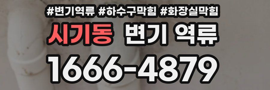 시기동 변기 역류