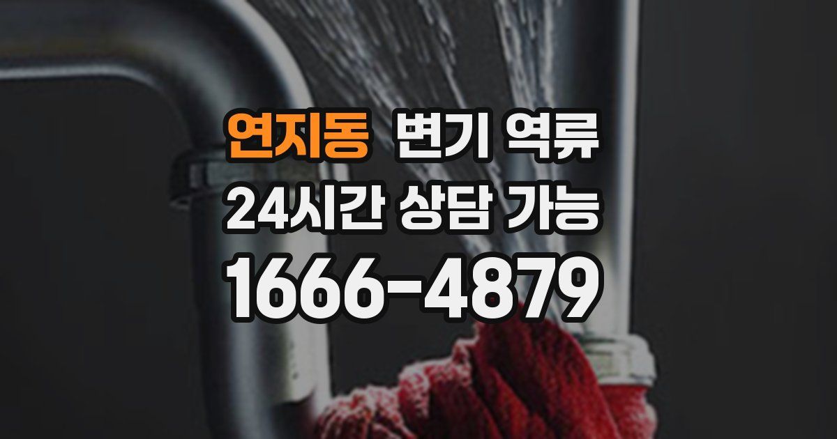 연지동 변기 역류