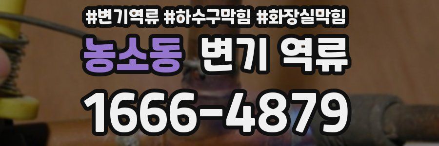 농소동 변기 역류