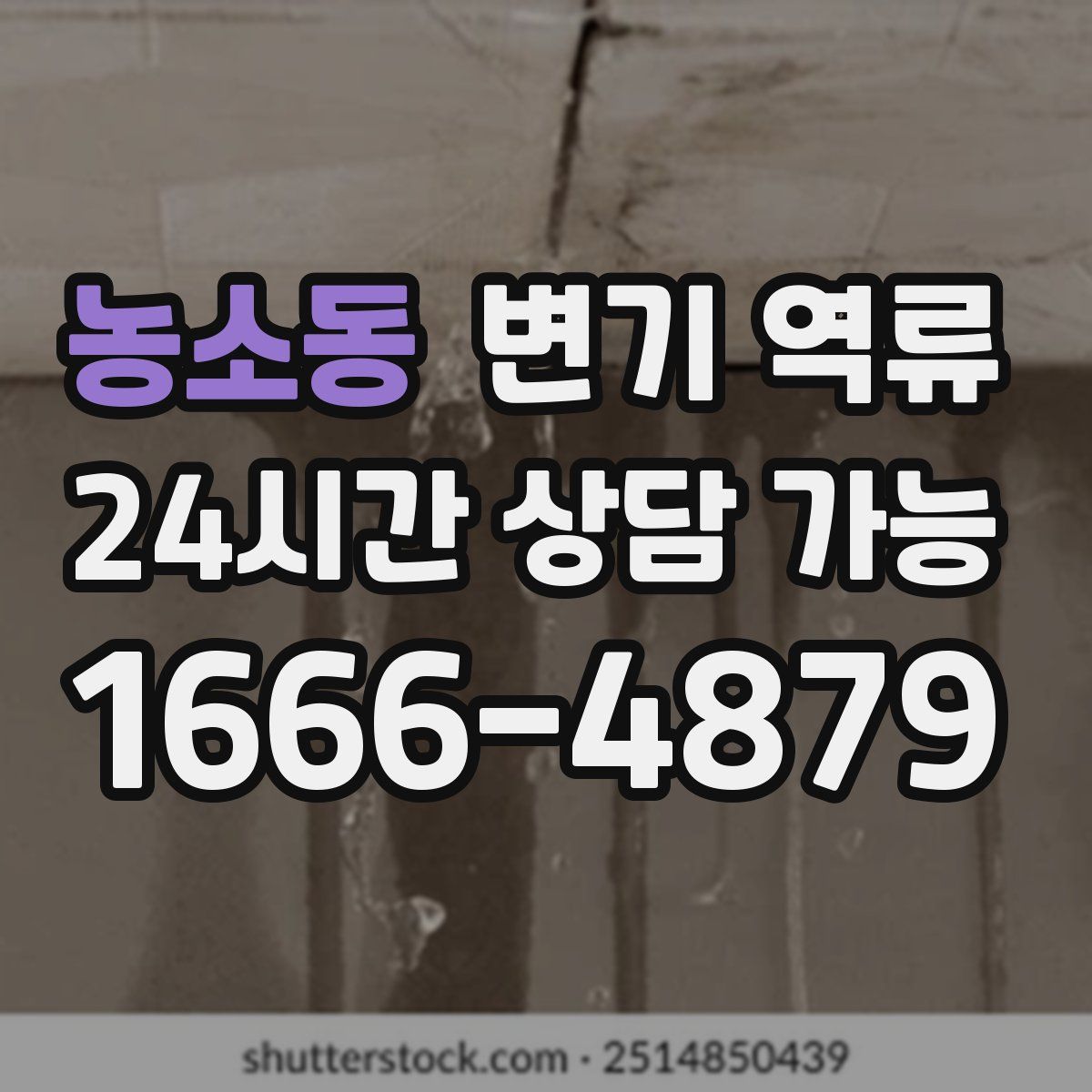 농소동 변기 역류