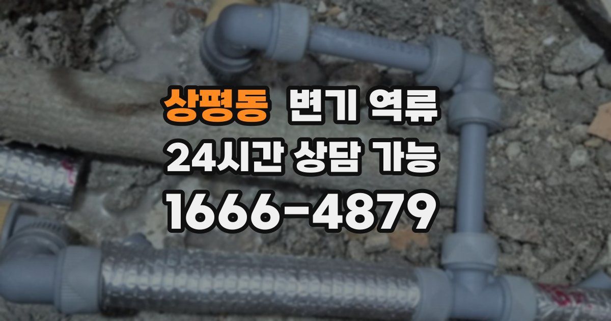 상평동 변기 역류