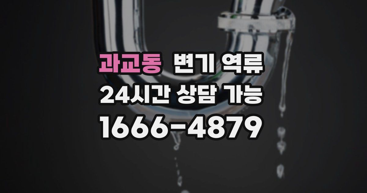 과교동 변기 역류