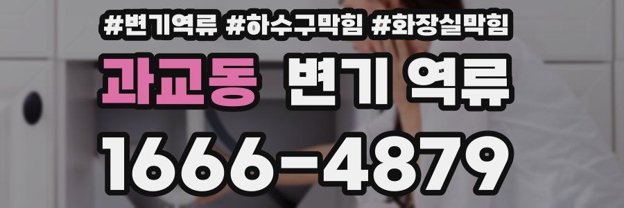 과교동 변기 역류