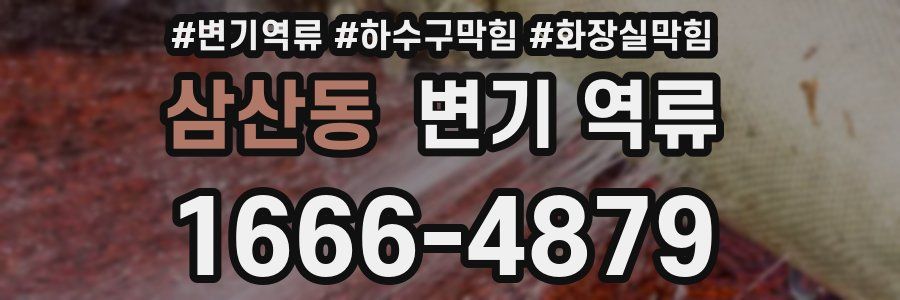 삼산동 변기 역류