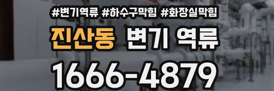 진산동 변기 역류