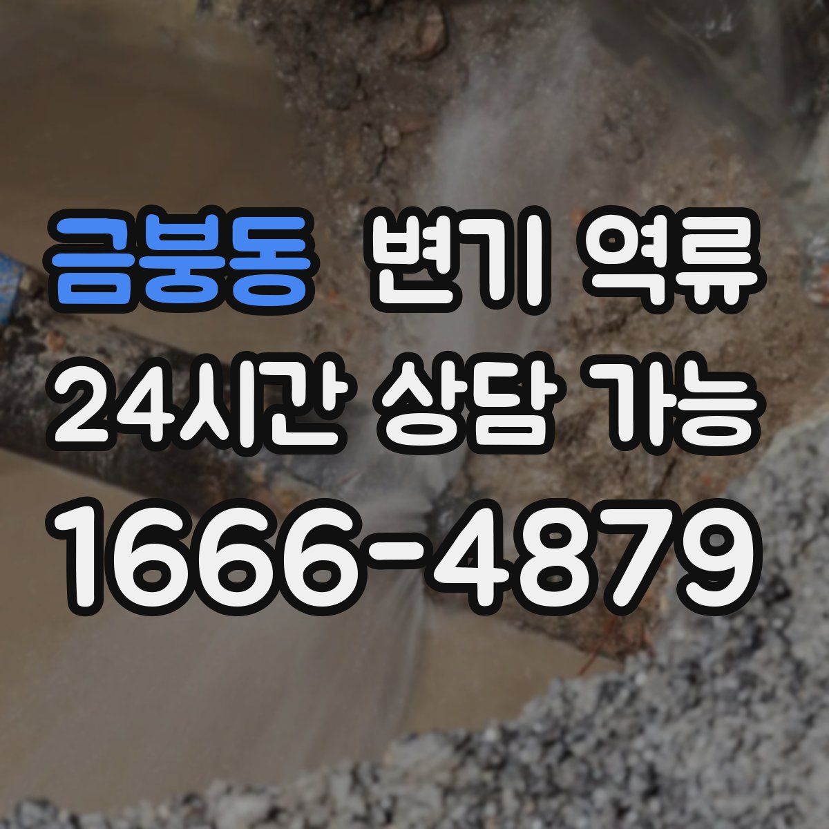 금붕동 변기 역류