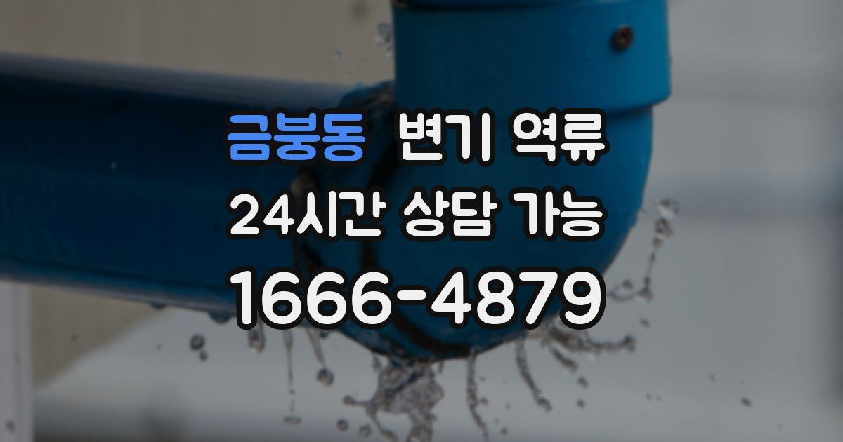 금붕동 변기 역류