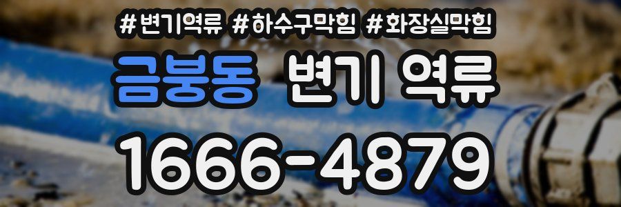 금붕동 변기 역류