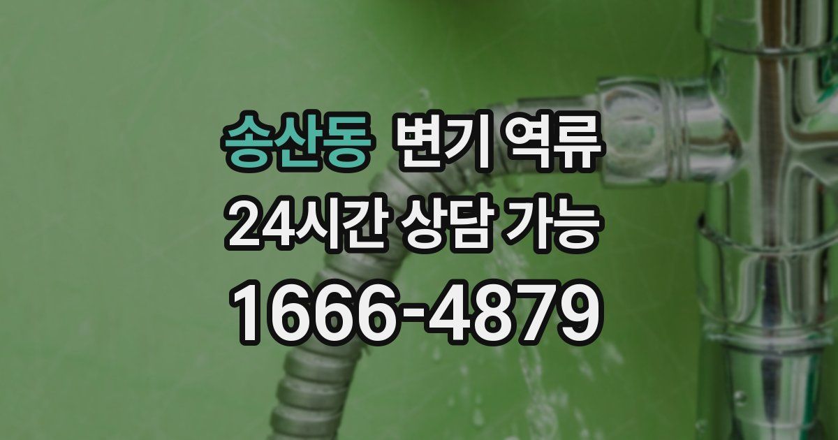 송산동 변기 역류