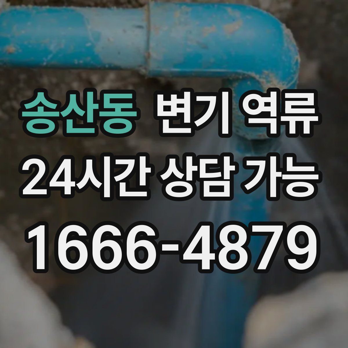 송산동 변기 역류