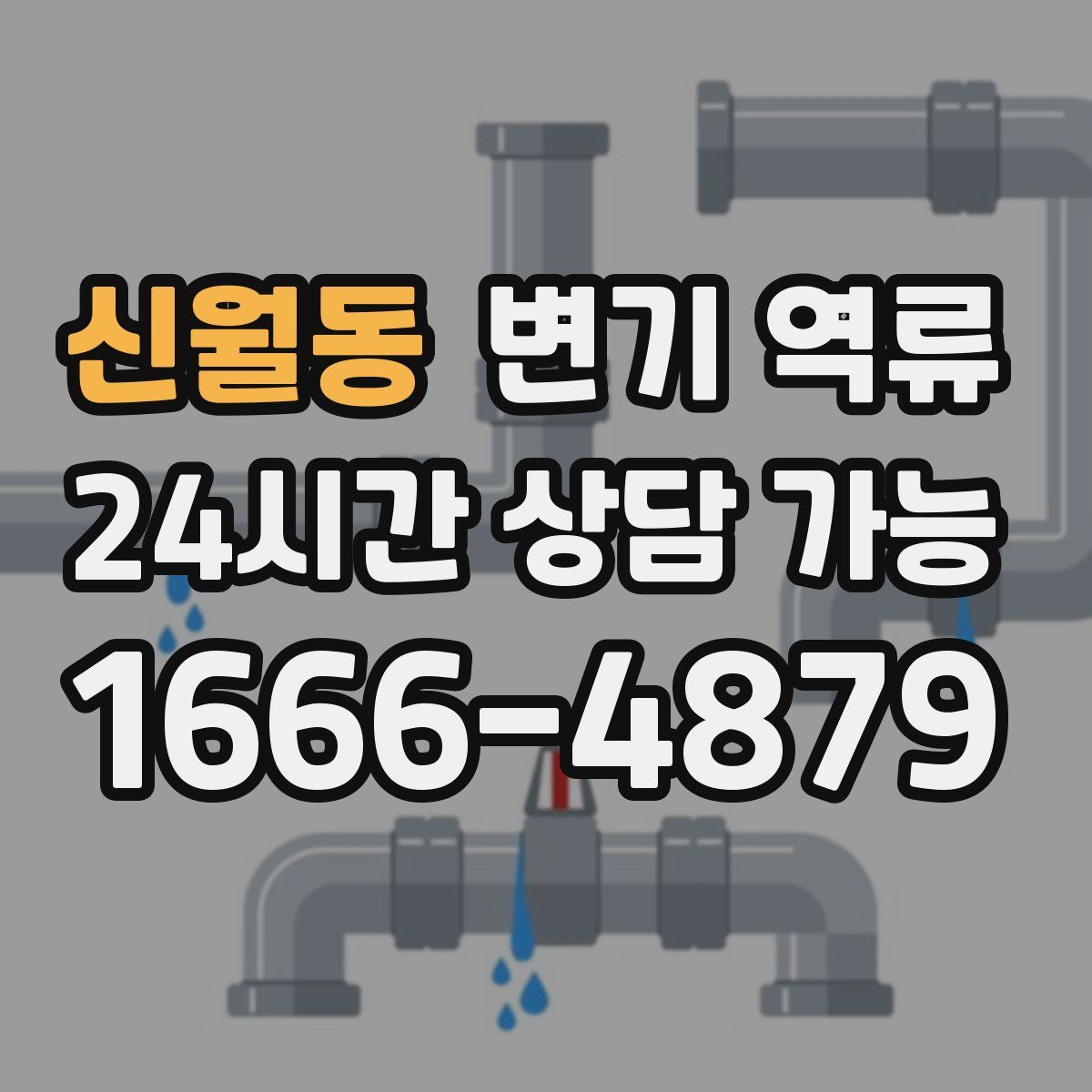 신월동 변기 역류