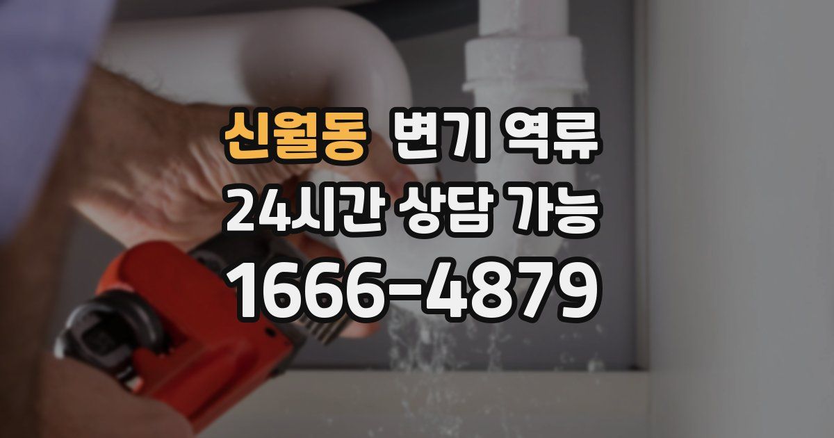 신월동 변기 역류