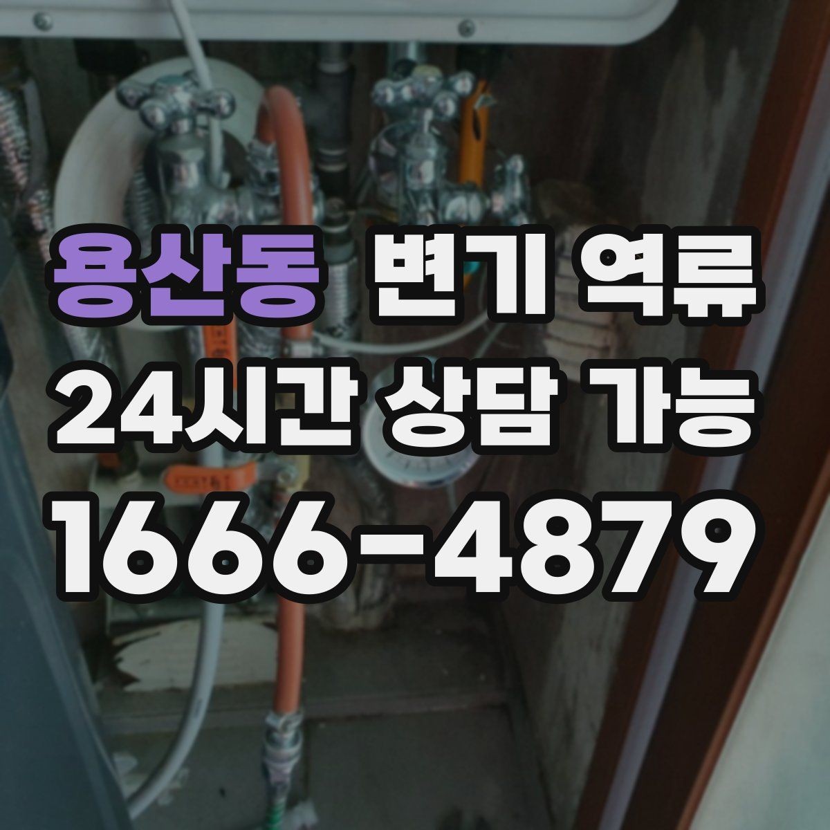 용산동 변기 역류 아이·반려동물 접근을 막아야 하는 이유