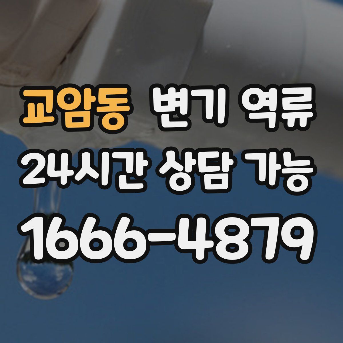 교암동 변기 역류