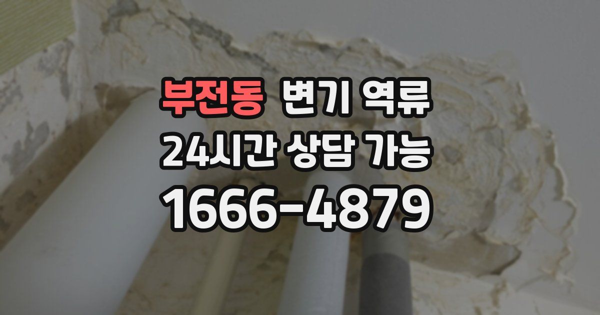 부전동 변기 역류