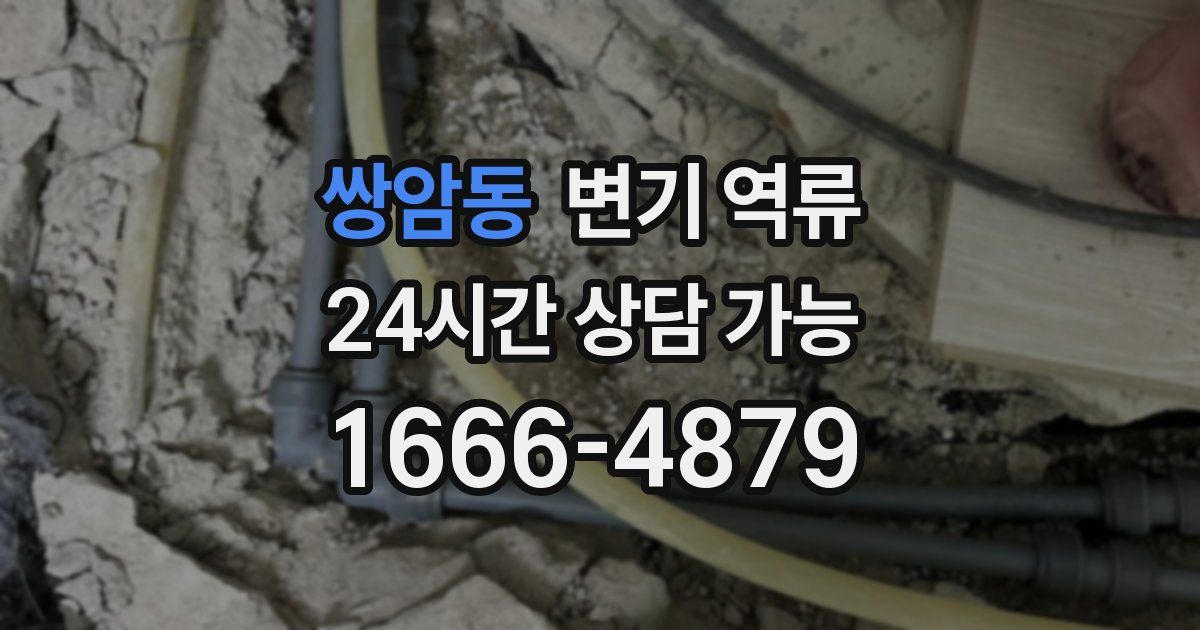 쌍암동 변기 역류