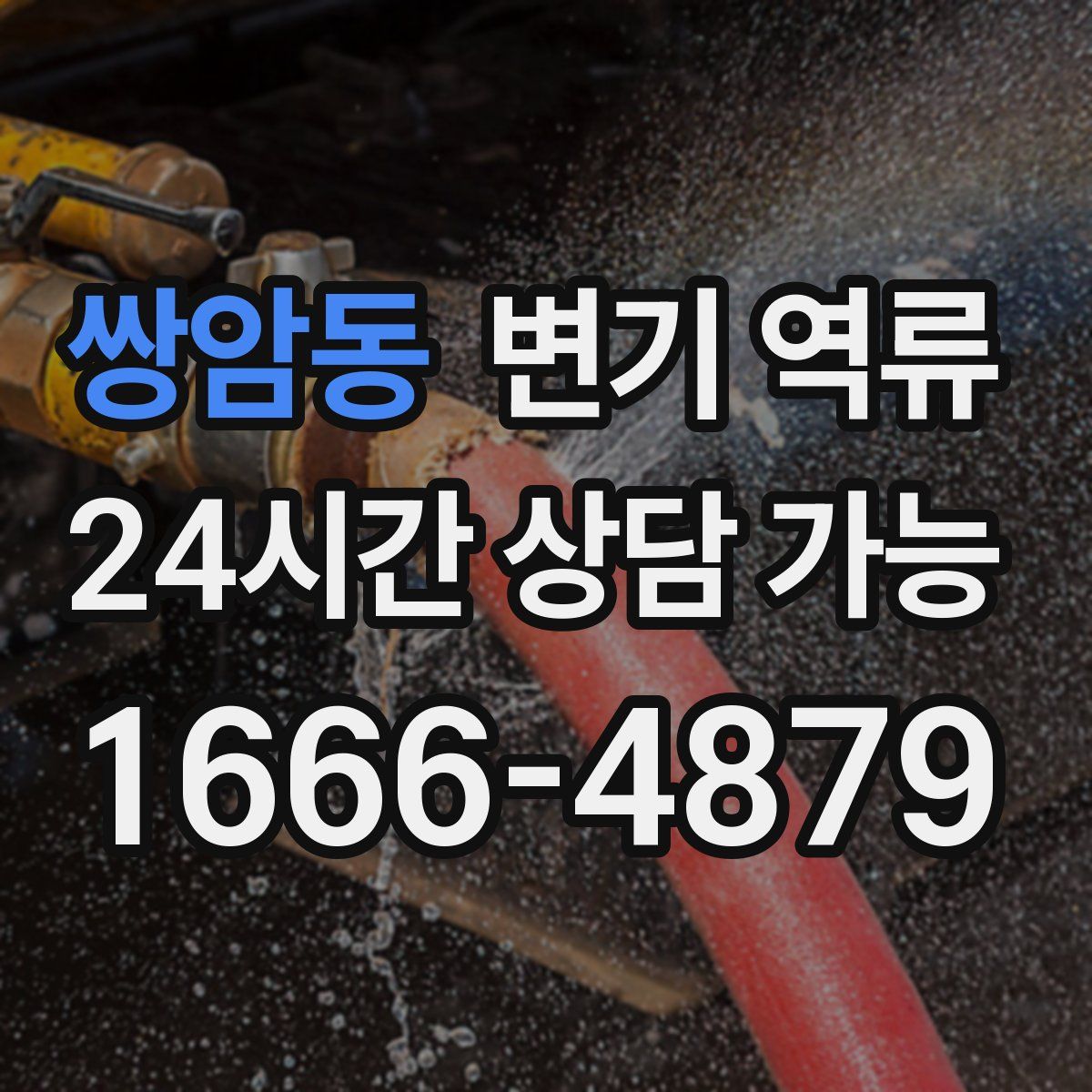 쌍암동 변기 역류