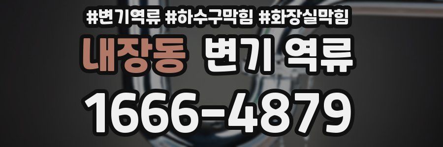 내장동 변기 역류