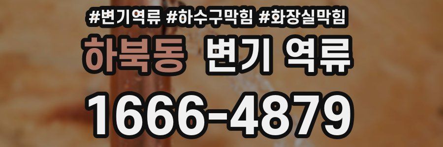 하북동 변기 역류