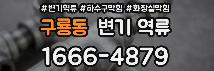 구룡동 변기 역류