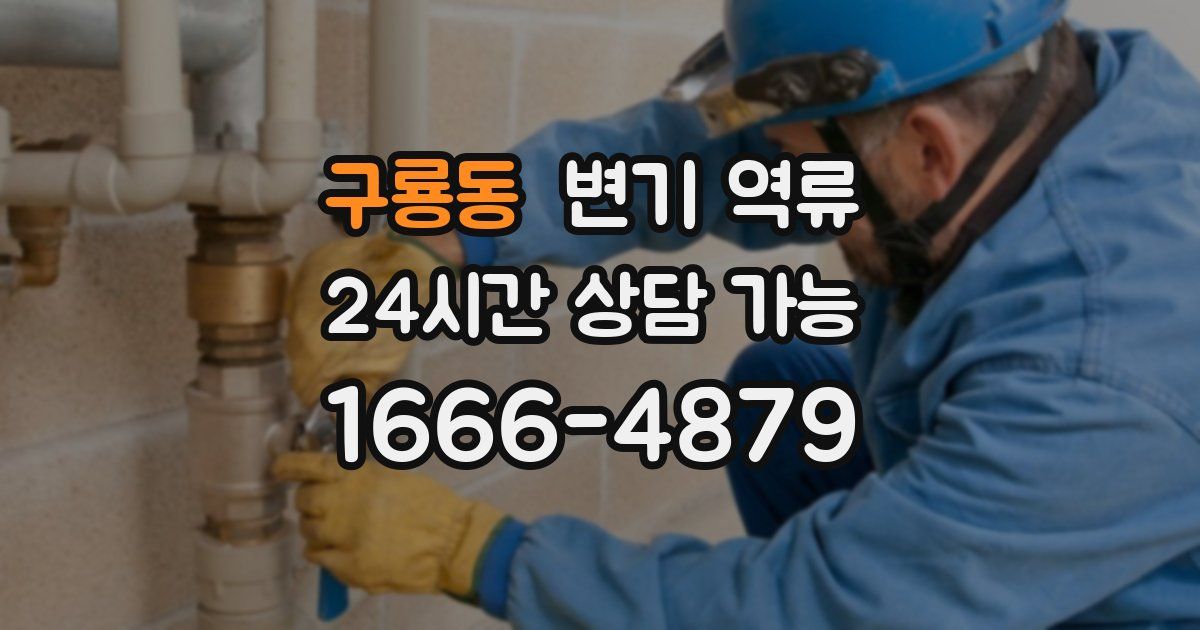 구룡동 변기 역류