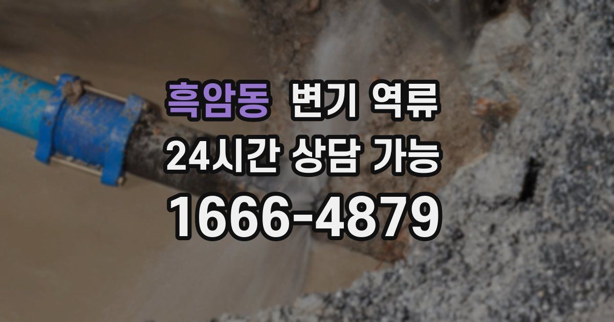 흑암동 변기 역류