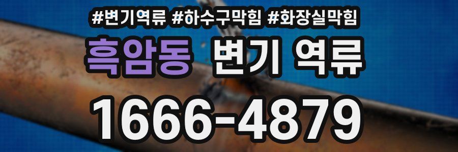 흑암동 변기 역류