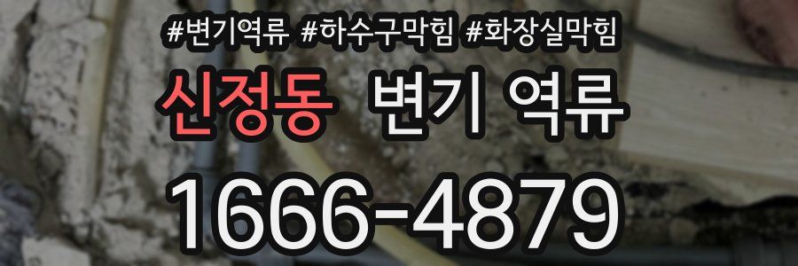 신정동 변기 역류